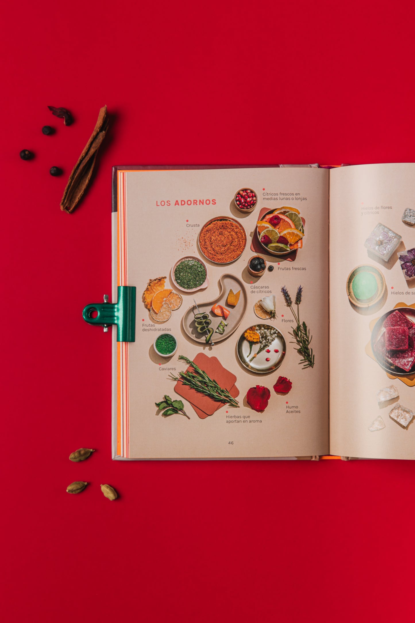 Libro Hola Mocktails !