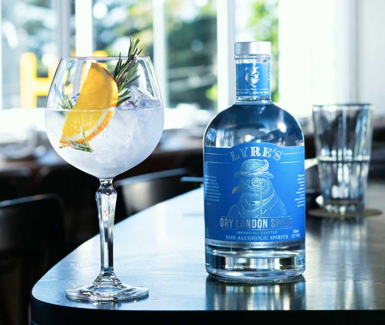 Gin Tonic Sin Alcohol
