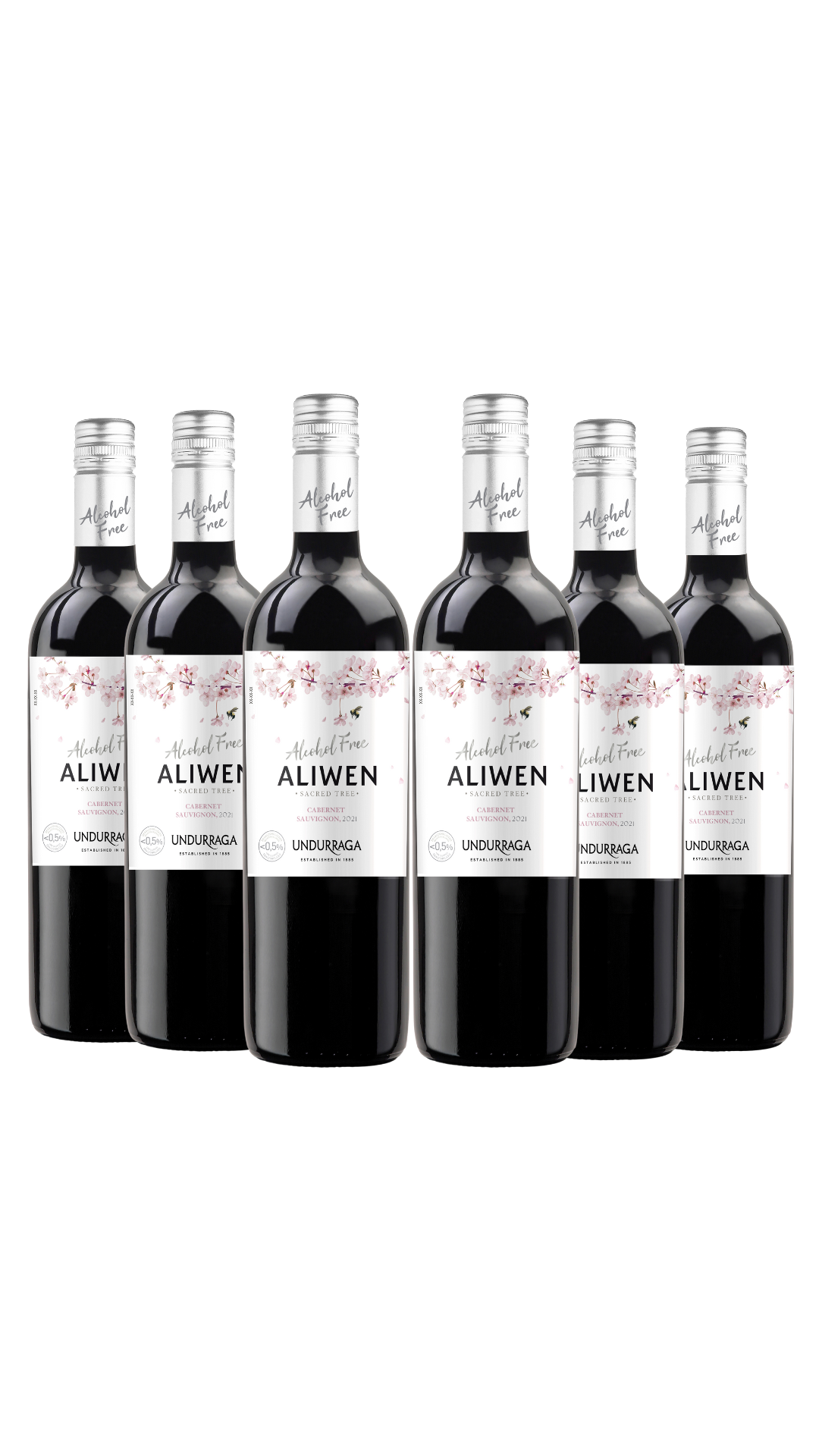 6 Vinos Cabernet Sauvignon Free Aliwen